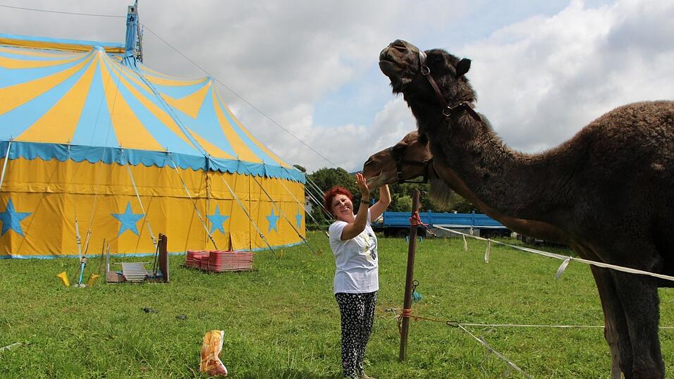 Zirkusdirektorin Liane Weisheit-K&ouml;llner f&uuml;ttert die Dromedare.