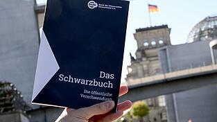 Dieses Jahr geht es besonders um staatliche Förderprogramme. (Archivbild) Dieses Jahr geht es besonders um staatliche Förderprogramme. (Archivbild)