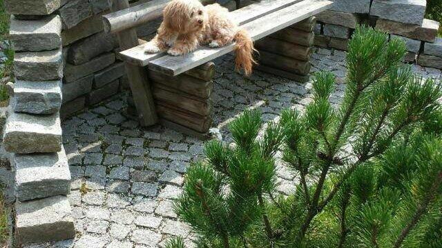 Das Motiv für März von Christl Dörfler.