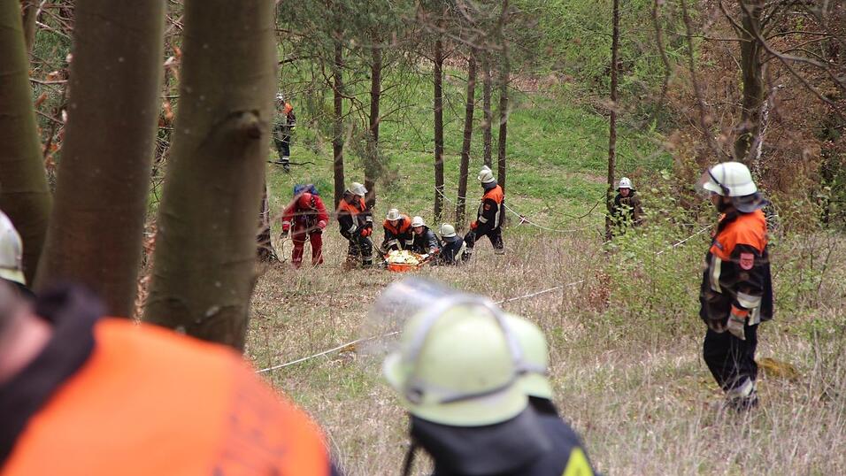 Der 45-jährige Fahrer eines Traktors kam bei Holzfällarbeiten ums Leben. Der 45-jährige Fahrer eines Traktors kam bei Holzfällarbeiten ums Leben.