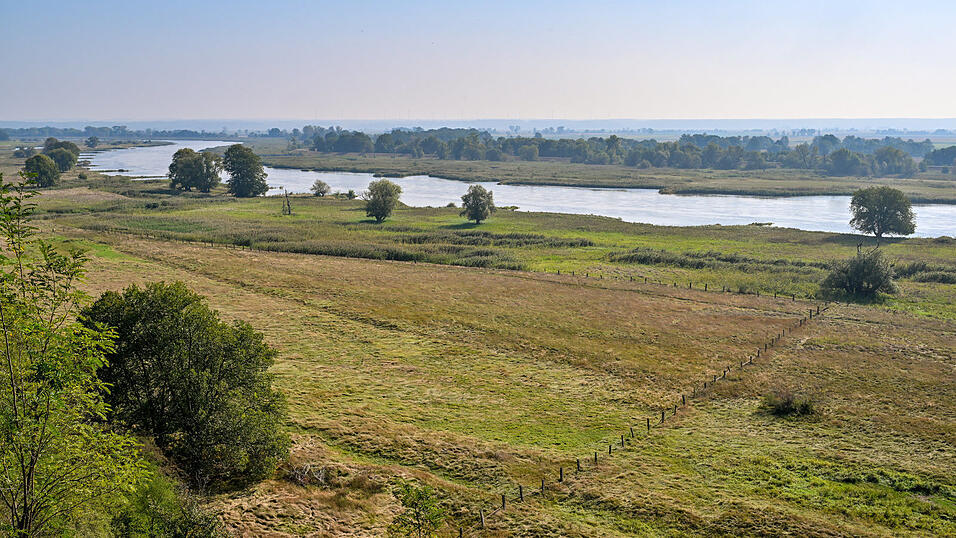 Ausgenommen von der Fristverschiebung sind alle ausgewiesenen Wiesenbr&uuml;tergebiete im Regierungsbezirk. (Symbolbild)