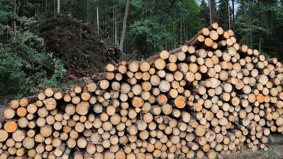 Der Borkenkäfer muss dringend bekämpft werden. Eine erweiterte Förderung soll einen Zuschuss von zwölf Euro pro Festmeter - unter bestimmten Voraussetzungen - möglich machen. Der Borkenkäfer muss dringend bekämpft werden. Eine erweiterte Förderung soll einen Zuschuss von zwölf Euro pro Festmeter - unter bestimmten Voraussetzungen - möglich machen.