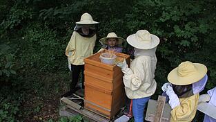 Die Bienen bekommen ein spezielles Futter. Das Stroh verhindert, dass die Bienen ertrinken.