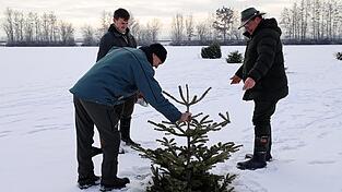 Mit vereinten Kr&auml;ften wird eine Tanne durch das Eisloch geschoben. Damit die B&auml;ume nicht unkontrolliert treiben, sorgt ein schwerer Granitstein am Stamm f&uuml;r die n&ouml;tige Bodenhaftung auf dem kiesigen Grund des Weihers.