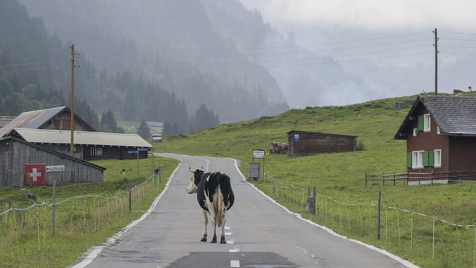 «Die Zahl der Deutschen mit Wohnsitz in der Schweiz steigt seit Jahren kontinuierlich», berichtete die Statistikbehörde. Binnen zehn Jahren erhöhte sich die Zahl der Deutschen in der Schweiz um 10,7 Prozent. (Archivfoto)