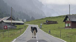 «Die Zahl der Deutschen mit Wohnsitz in der Schweiz steigt seit Jahren kontinuierlich», berichtete die Statistikbehörde. Binnen zehn Jahren erhöhte sich die Zahl der Deutschen in der Schweiz um 10,7 Prozent. (Archivfoto)