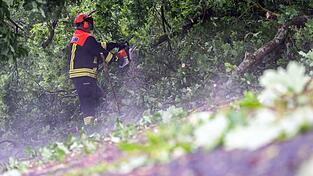 Die Feuerwehr r&auml;umt die bayerischen Stra&szlig;en nach dem Unwetter wieder frei.