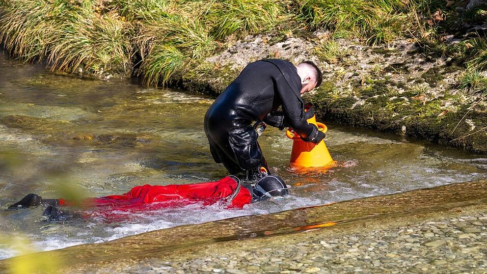 Nach dem Tod einer jungen Frau suchen Polizeitaucher in der Ortschaft das Flussbett der Prien nach Spuren ab.