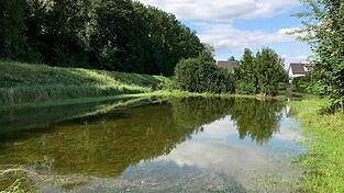 Die Wiese neben dem Isardeich, auf der sich fr&uuml;her auftretendes Grundwasser ausbreiten konnte, ist zwischenzeitlich bebaut.