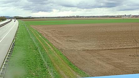 Der Bereich zwischen Autobahn und Donau bei Niederachdorf ist intensiv landwirtschaftlich genutzt. Ein Umspannwerk wäre hier aus Naturschutzsicht konfliktarm, argumentiert der LBV.