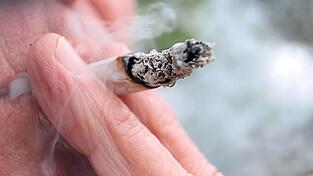 Aus den präsentierten Daten geht hervor, dass 2024 in Deutschland etwa 5,3 Millionen Erwachsene Cannabis konsumiert haben, etwa eine Million davon konsumierte täglich oder fast täglich.