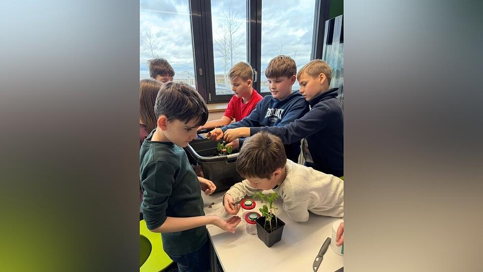 Das Projekt &bdquo;Bl&uuml;tezeit Landshut&ldquo; vermittelt den Sch&uuml;lern Wissen &uuml;ber die Natur und weckt das Bewusstsein f&uuml;r den Schutz der heimischen Pflanzenwelt.