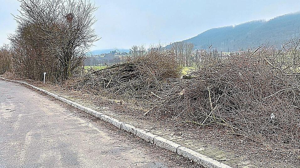 Die verwilderte Hecke an der Dr.-Georg-Sch&auml;fer-Stra&szlig;e soll teilweise durch eine Neuanpflanzung ersetzt werden. Damit begr&uuml;ndet Bauhof-Leiter Christoph Haimerl den R&uuml;ckschnitt.
