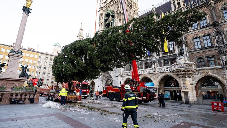 Nun müssen noch die Lichter ran. Nun müssen noch die Lichter ran.