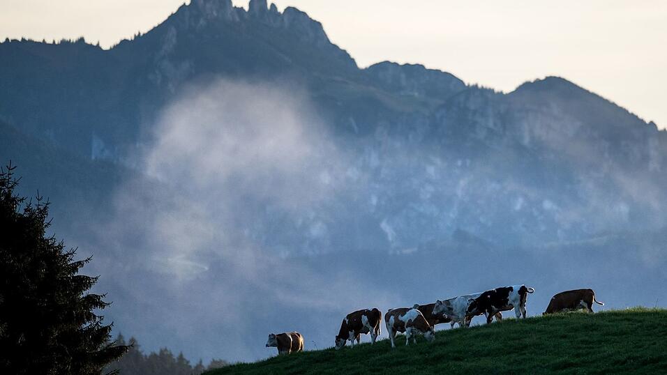 Die Kinder verliefen sich an der Hochplatte. (Symbolbild)