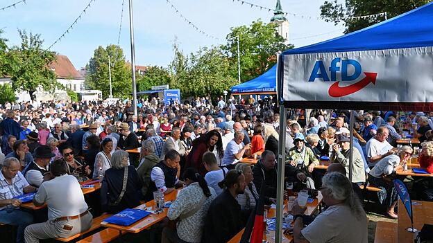 Die AfD hielt ihre Kundgebung auf der Schlosswiese in Abensberg ab.