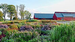 &Uuml;berbordende Beete, abstrakte Skulpturen und ein lebendiges Programm machen den Besuch im Vandalorum stets aufs Neue interessant.