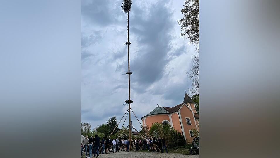 Der Maibaum aus der Feldkirchner Gemeinde Opperkofen.