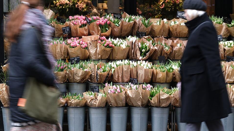 F&uuml;r Tulpen m&uuml;ssen Verbraucher in diesem Jahr tiefer in die Tasche greifen. (Archivbild)