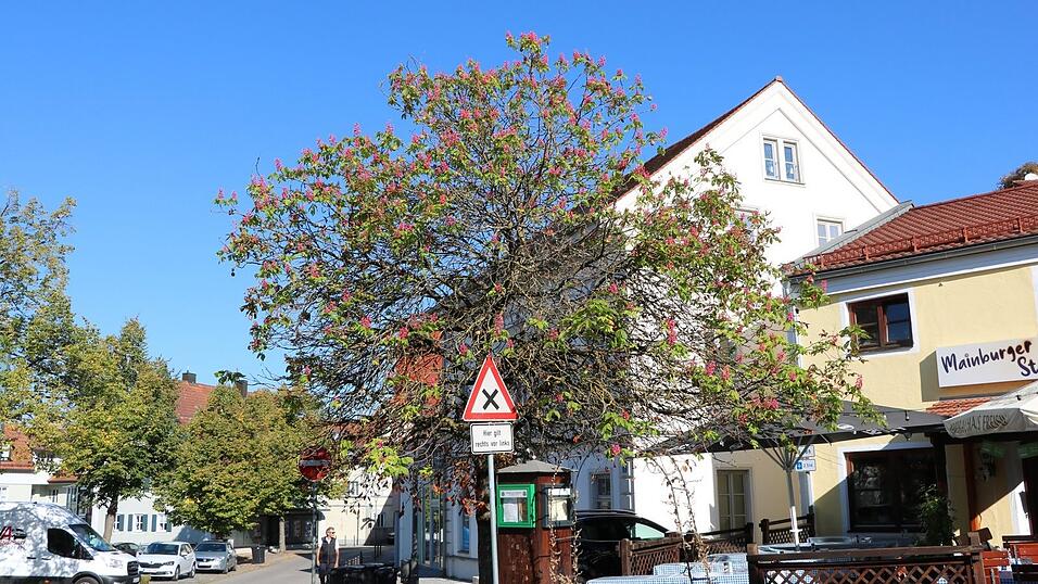 Die Mainburger Stube am Elsenheimerweg Die Mainburger Stube am Elsenheimerweg