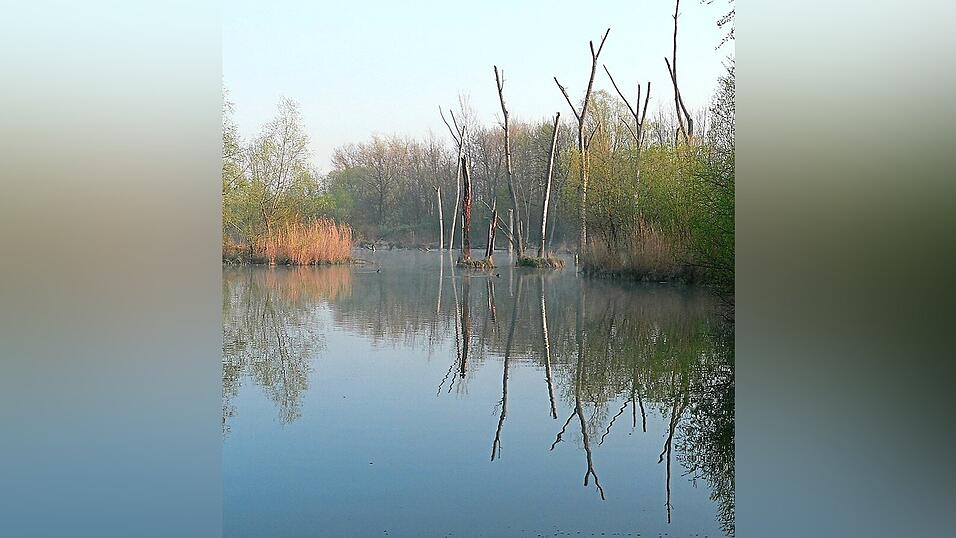 Die Isar als Paradebeispiel f&uuml;r das Vernetzen der unterschiedlichen Lebensr&auml;ume zwischen dem Alpenraum und der Donau.