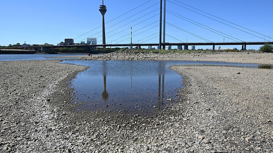 Das Niedrigwasser im Rhein bremst die deutsche Wirtschaft. (Archivbild) Das Niedrigwasser im Rhein bremst die deutsche Wirtschaft. (Archivbild)