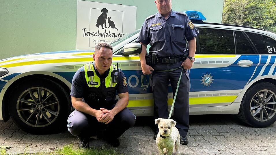 Polizeihauptmeister Schweter (links) und Polizeioberkommissar Schreindl (rechts) mit dem entlaufenen Hund Paco.&nbsp;