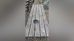 Auf irgendeine Weise zu z&uuml;ndeln oder gar ein Lagerfeuer zu machen ist auf dem Hirschenstein verboten, aber nicht alle halten sich an das Verbot, trotz empfindlicher Strafen.