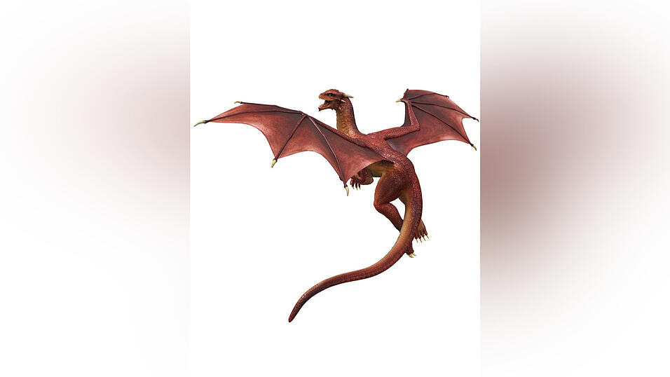 Mit großen Armbewegungen macht Thilo das Flugmuster des Drachens aus seiner Lektüre nach. Mit großen Armbewegungen macht Thilo das Flugmuster des Drachens aus seiner Lektüre nach.