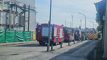 Mit vier Einsatzw&auml;gen war die Feuerwehr Dingolfing vor Ort.