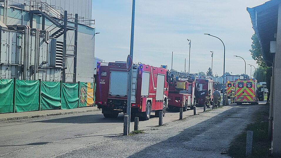 Mit vier Einsatzw&auml;gen war die Feuerwehr Dingolfing vor Ort.