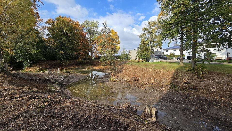 Ein trostloser Anblick: Der Andreasweiher führt kaum noch Wasser. Die vor Jahren eingebrachte Kieszunge, die dem Weiher zu einem höheren Pegelstand verhelfen sollte, ist deutlich zu sehen. Zumindest das stinkende, faulige Schilf konnte entfernt werden. Ein trostloser Anblick: Der Andreasweiher führt kaum noch Wasser. Die vor Jahren eingebrachte Kieszunge, die dem Weiher zu einem höheren Pegelstand verhelfen sollte, ist deutlich zu sehen. Zumindest das stinkende, faulige Schilf konnte entfernt werden.