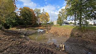 Ein trostloser Anblick: Der Andreasweiher f&uuml;hrt kaum noch Wasser. Die vor Jahren eingebrachte Kieszunge, die dem Weiher zu einem h&ouml;heren Pegelstand verhelfen sollte, ist deutlich zu sehen. Zumindest das stinkende, faulige Schilf konnte entfernt werden.