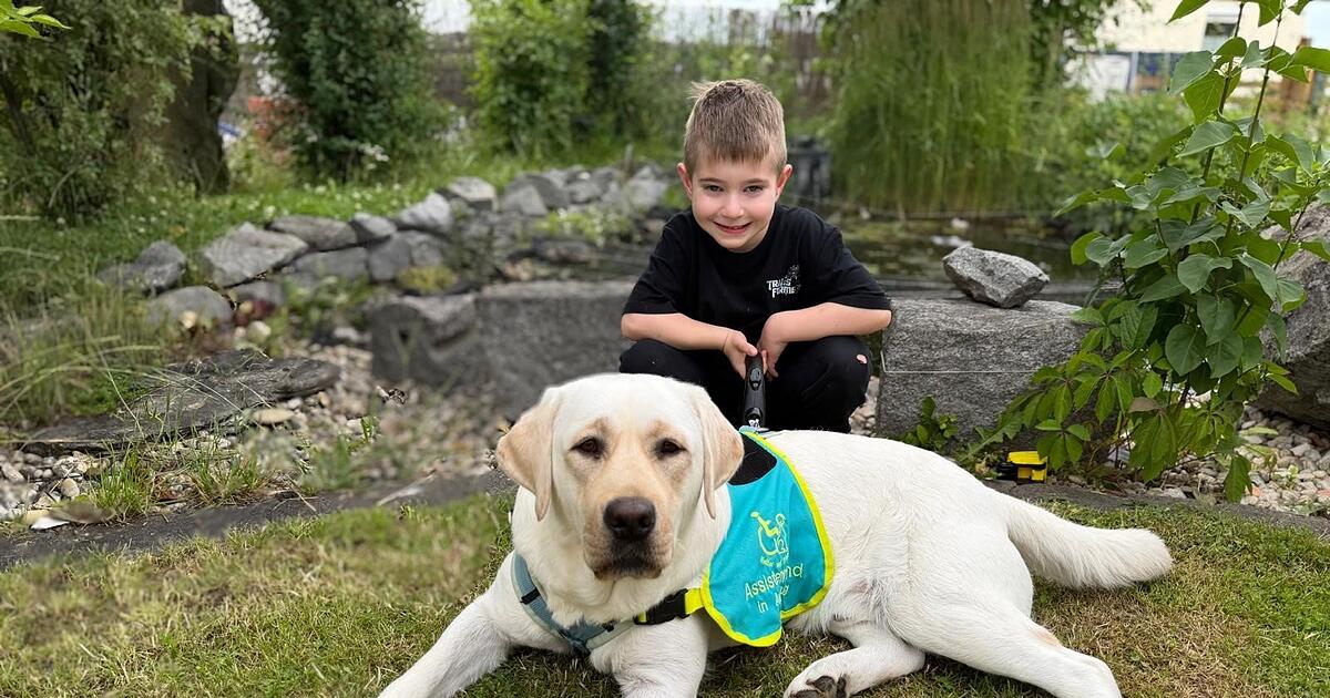 Damien hat nun endlich einen Assistenzhund zu Hause in Oberlindhart