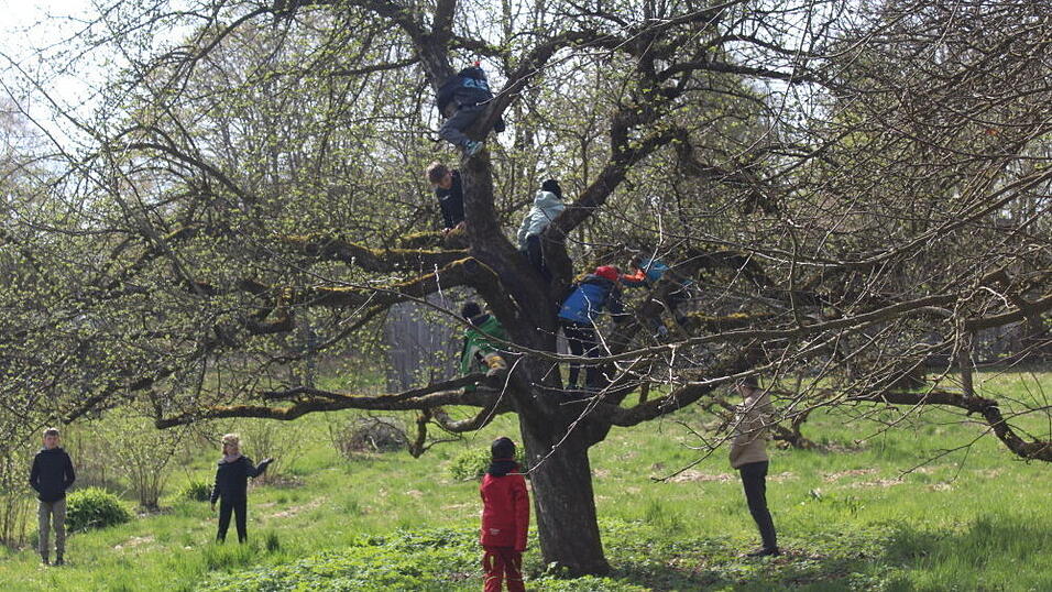 Der Waldläuferbanden-Tag fand im Garten der Künstlerfamilie Reidel in Obergangkofen statt, das in der Nähe von Wäldern liegt. Der Waldläuferbanden-Tag fand im Garten der Künstlerfamilie Reidel in Obergangkofen statt, das in der Nähe von Wäldern liegt.