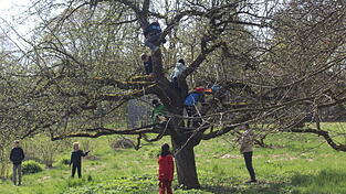 Der Waldläuferbanden-Tag fand im Garten der Künstlerfamilie Reidel in Obergangkofen statt, das in der Nähe von Wäldern liegt. Der Waldläuferbanden-Tag fand im Garten der Künstlerfamilie Reidel in Obergangkofen statt, das in der Nähe von Wäldern liegt.