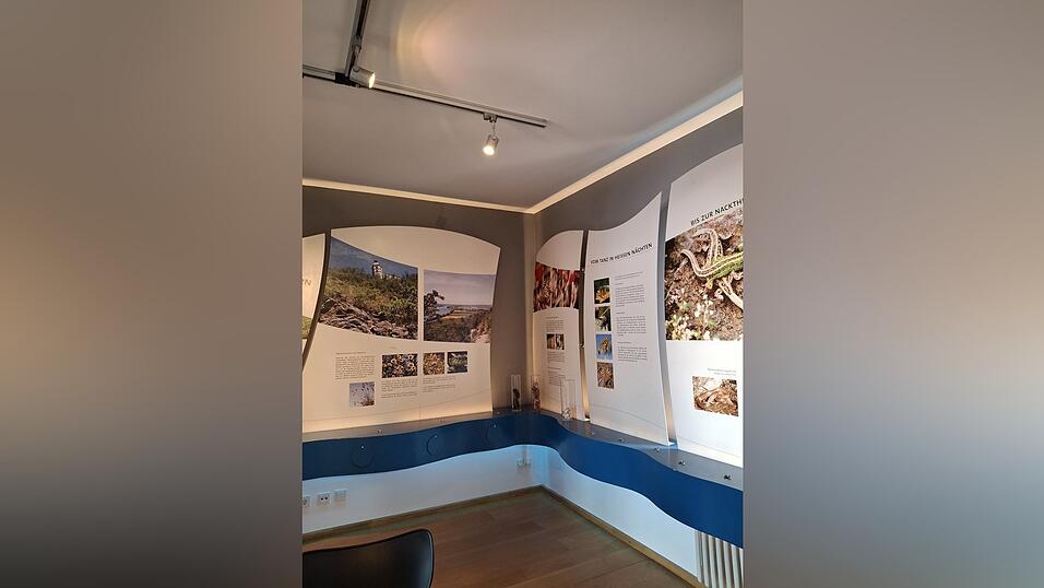 Unter anderem stehen Schilder zur Tier- und Pflanzenvielfalt des Bogenbergs in der Infostelle.