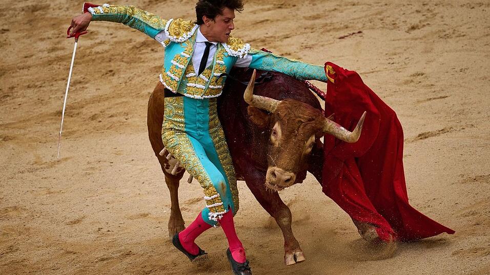 Die Stiere, die am Morgen während des San-Fermín-Festes im nodspanischen Pamplona durch die Altstadt getrieben werden, sterben am späten Nachmittag in der Stierkampfarena. (Archiv-Bild) Die Stiere, die am Morgen während des San-Fermín-Festes im nodspanischen Pamplona durch die Altstadt getrieben werden, sterben am späten Nachmittag in der Stierkampfarena. (Archiv-Bild)