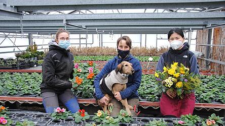 Trotz Ladenschließung ist das Team der Mühlbachgärtnerei fleißig. Im Bild zu sehen sind die Gärtnermeisterin Sandra Osterloher (Mitte) mit Gärtnerei-Hündin Babu und die beiden Auszubildenden Sophie Linseisen (l.) und Akari Takeda.