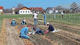 Auf einem Acker bei Aholming baut das „Biogartl/Solidarische Landwirtschaft e.V.“ eine Vielfalt an Gemüse und Küchenkräutern an. Gemeinsam wird gepflanzt und geerntet.