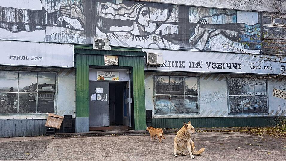 Tagelang berichteten internationale Medien über «blaue Hunde» in Tschernobyl. Im radioaktiv belasteten Sperrgebiet bezeichnet man die Berichte als Unsinn. Tagelang berichteten internationale Medien über «blaue Hunde» in Tschernobyl. Im radioaktiv belasteten Sperrgebiet bezeichnet man die Berichte als Unsinn.
