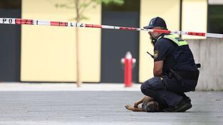 Das Gelände wurde abgesucht. Das Gelände wurde abgesucht.