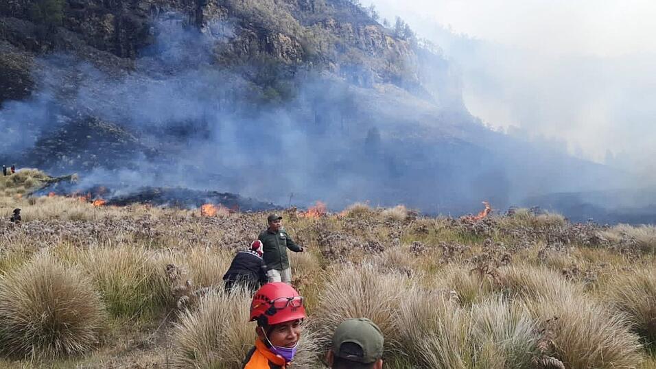 Waldbrände am Bromo sind in Dürrezeiten keine Seltenheit. Waldbrände am Bromo sind in Dürrezeiten keine Seltenheit.