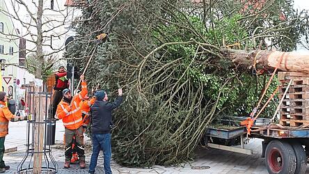 Am Dienstag waren beim Transport die Schilder auf dem Plan in Gefahr. Am Dienstag waren beim Transport die Schilder auf dem Plan in Gefahr.