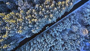 Einen Eiskratzer sollten Autofahrer diese Woche bei sich haben, denn es bleibt frostig. (Symbolfoto)