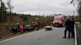Die Autofahrerin ist von der Fahrbahn abgekommen.