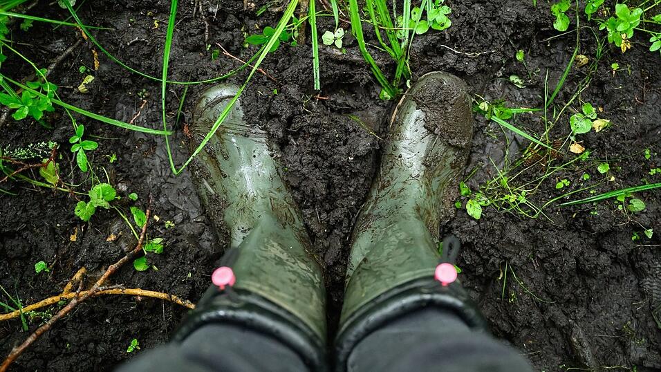 Bayerns Moore sollen wieder nässer werden. Auch sogenannte Paludikulturen, das heißt Pflanzen wie Schilf, lassen sich wirtschaftlich nutzen. Bayerns Moore sollen wieder nässer werden. Auch sogenannte Paludikulturen, das heißt Pflanzen wie Schilf, lassen sich wirtschaftlich nutzen.