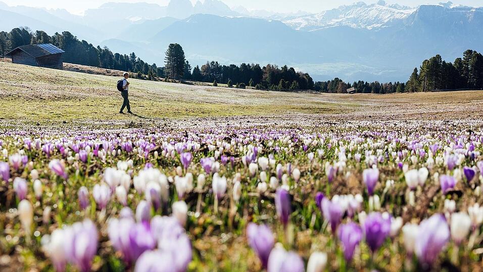 Wanderparadies und gute Luft: Rund drei Millionen deutsche Touristen kommen jedes Jahr nach S&uuml;dtirol und die meisten fahren mit dem Auto &uuml;ber den Brenner. Aber vor allem die Lkw machen den Anwohnern das Leben schwer.