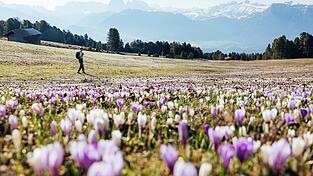 Wanderparadies und gute Luft: Rund drei Millionen deutsche Touristen kommen jedes Jahr nach S&uuml;dtirol und die meisten fahren mit dem Auto &uuml;ber den Brenner. Aber vor allem die Lkw machen den Anwohnern das Leben schwer.