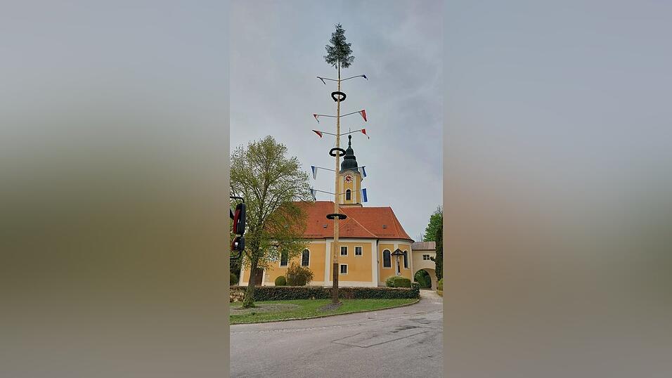 Am 30.04. wurde der Maibaum in Adldorf gef&auml;llt, transportiert und anschlie&szlig;end von der FFW Adldorf zusammen mit der Dorfgemeinschaft aufgestellt.
